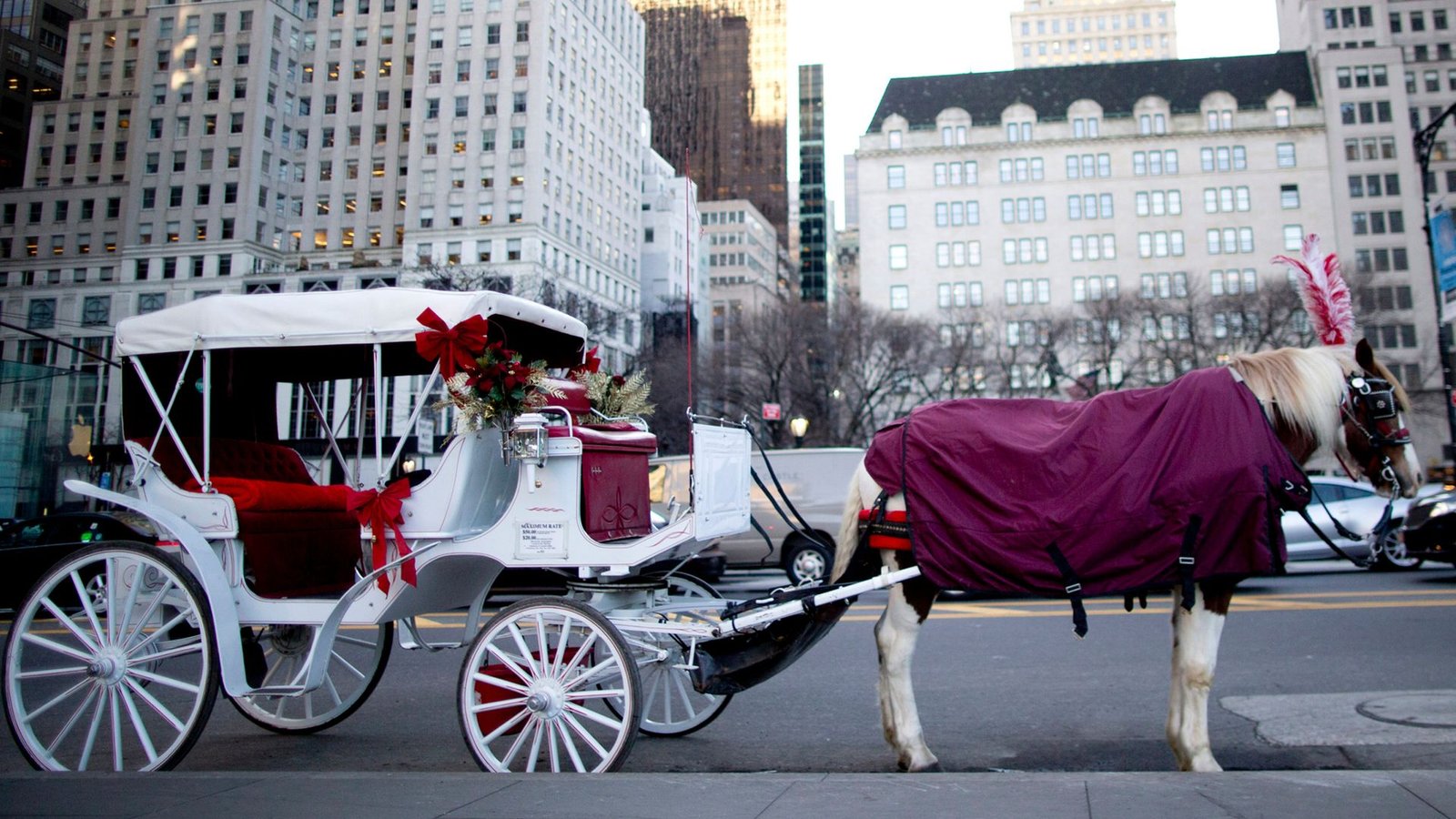 New York City to end iconic horse-drawn carriage rides after teenager’s death